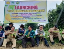 Keakraban Bupati Pamekasan Dengan Masyarakat Saat Usai Menanam Pisang