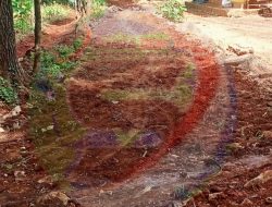 Proyek Pengerasan Jalan Desa Sokarame Timur Ditimbun Tanah Lokal