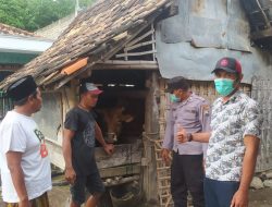 Mengantisipasi Wabah PMK, Bhabinkamtibmas Polsek Kwanyar Melakukan Sosialisasi