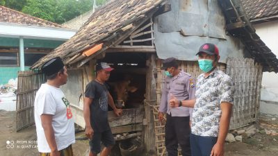 Mengantisipasi Wabah PMK, Bhabinkamtibmas Polsek Kwanyar Melakukan Sosialisasi