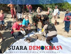 Penemuan Mayat Laki-laki Tinggal Tulang Di Pesisir Pantai Pulau Kangean