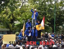 Naiknya Harga BBM, PMII Menilai Pemerintah Tidak Perikemanusiaan