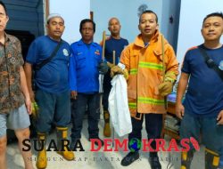 Damkar Sumenep Mengevakuasi Ular Dalam Toilet Warga