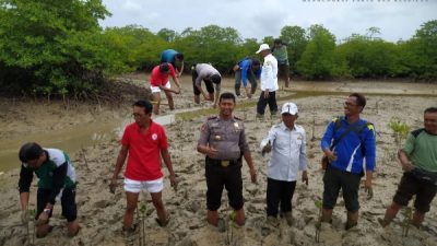 Kedekatan Kapolsek Kangayan Dengan Masyarakat Ikut Menanam Magrove