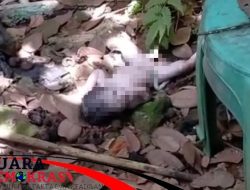 Ditemukan Bayi Tidak Berdosa Dibuang Tanpa Busana