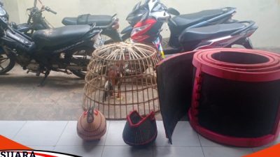 Polres Sumenep Lakukan Penggerebekan Judi Sabung Ayam