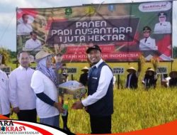 Melalui DKPP Pemkab Sumenep Menggelar Panen Padi Nusantara Sejuta Hektar