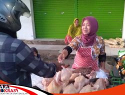 Menjelang Hari Raya Idul Fitri 1444 H Harga Ayam Potong Mulai Mengalami Kenaikan