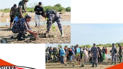 Cegah Abrasi TNI AL Poskamladu Pasongsongan Tanam Mangrove