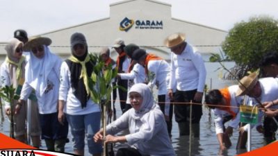 Festival Magrove Jatim VI 2023 Digelar Di Kota Tua Kalianget