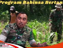 Program Kodim 0827/Sumenep Babinsa Bertani
