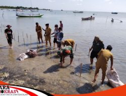 Forkopimka Kecamatan Ra’as dan Tokoh Masyarakat Gelar Penanaman 2000 Bibit Mangrove