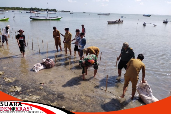 Forkopimka Kecamatan Ra'as dan Tokoh Masyarakat Gelar Penanaman 2000 Bibit Mangrove