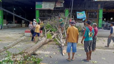 Pohon Tumbang Picu Kemacetan, DLH Dinilai Lalai