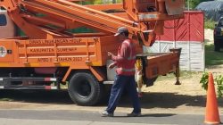 Keluhkan Petugas DLH Yang Setengah Hati Memangkas Pohon