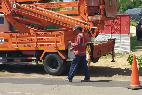 Keluhkan Petugas DLH Yang Setengah Hati Memangkas Pohon