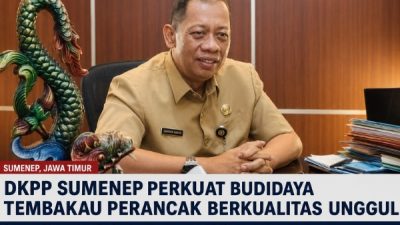 DKPP Sumenep Memberikan Bantuan Bibit Tembakau Berkualitas Unggul