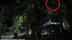 Penerangan Jalan Kampung Padam, PJ Kades Kalianget Barat Tidak Peduli