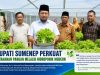 Pemkab Sumenep Perkuat Ketahanan Pangan Melalui Hidroponik Modern