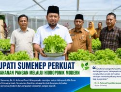 Pemkab Sumenep Perkuat Ketahanan Pangan Melalui Hidroponik Modern